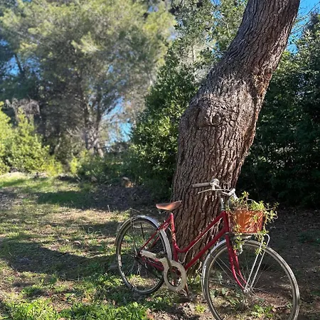 Nyaraló Zoe Torre dell'Orso