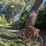 Nyaraló Zoe Torre dell'Orso