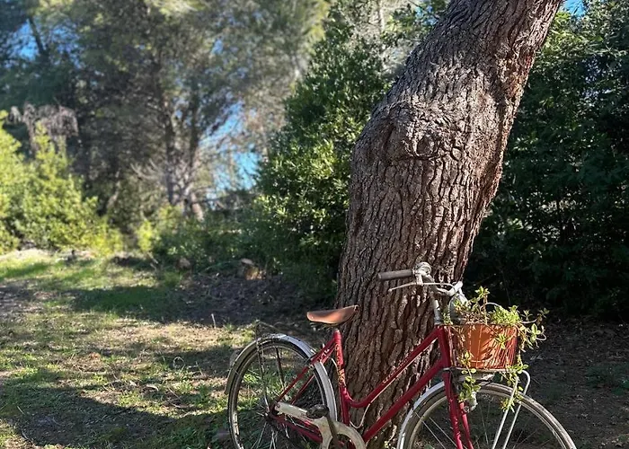Holiday home Zoe Torre dell'Orso